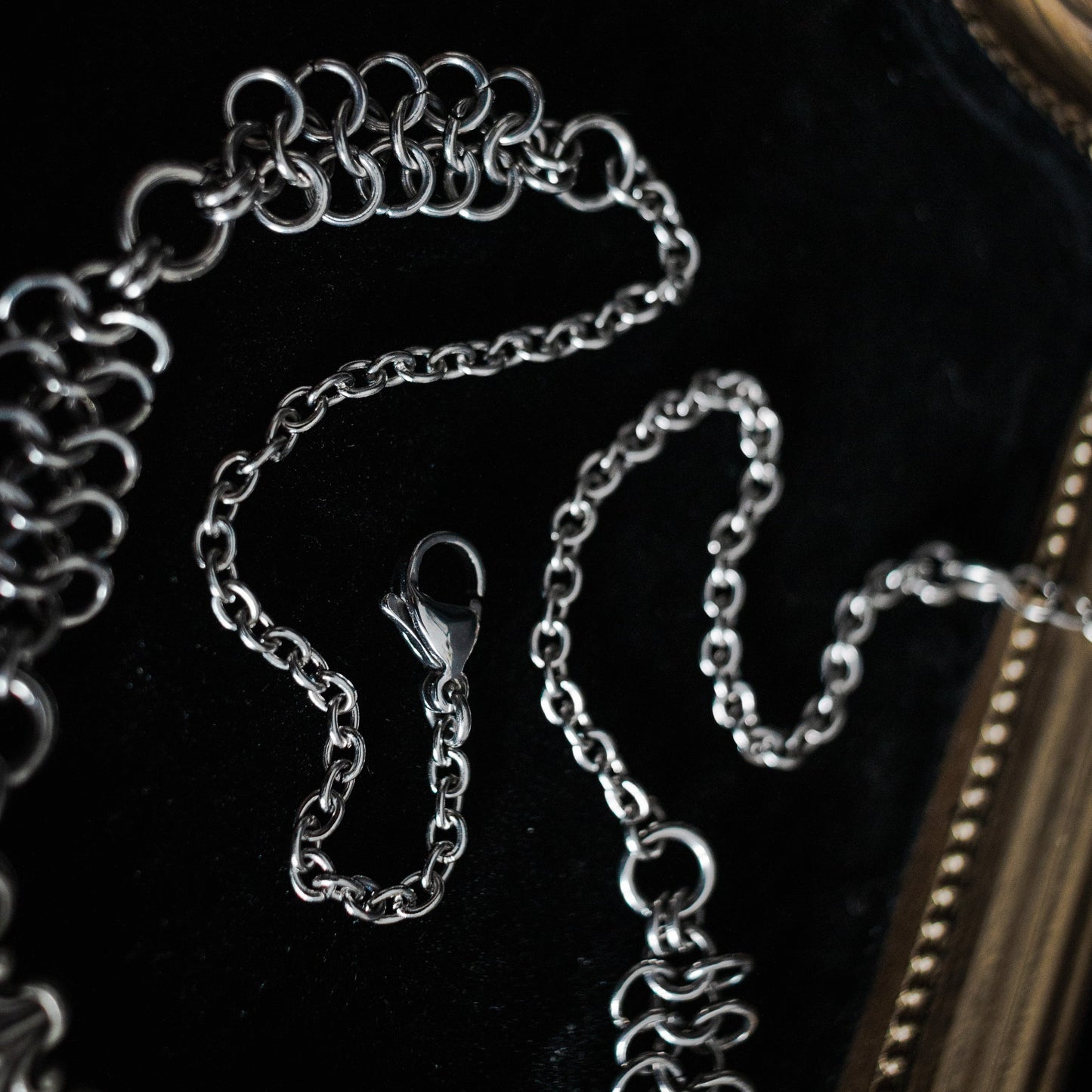 ɴᴇᴡ! Venus (Mini)