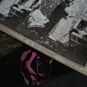 Antique Stereograph - Wedding Bells